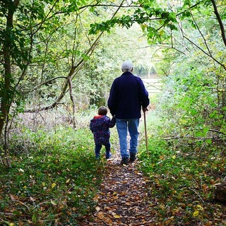 Quello che non ti aspetti: la Granda è una provincia per giovani. Meno per bambini e anziani Quello che non ti aspetti: la Granda è una provincia per giovani. Meno per bambini e anziani