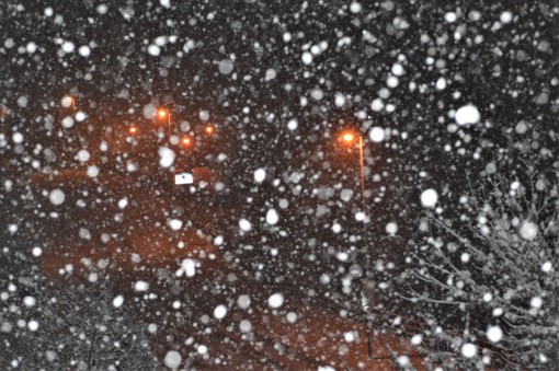 Un'immagine della nevicata di stanotte