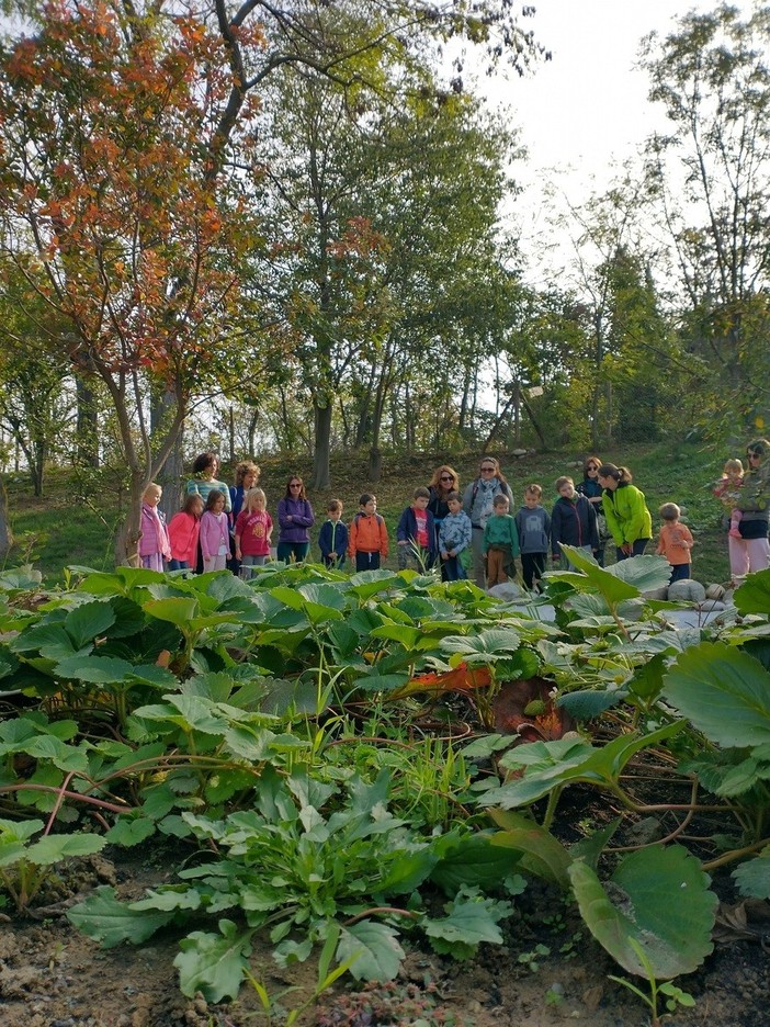 Biodiversità, miele, educazione ambientale: il Parco fluviale Gesso e Stura partecipa a Terra Madre Salone del Gusto 2026 Biodiversità, miele, educazione ambientale: il Parco fluviale Gesso e Stura partecipa a Terra Madre Salone del Gusto 2026