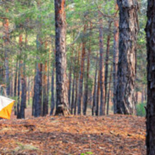 Orienteering protagonista in provincia di Cuneo: North West Cup 2026, tre grandi appuntamenti nazionali dall'1 al 3 maggio