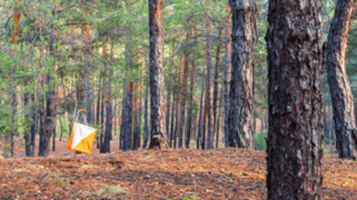 Orienteering protagonista in provincia di Cuneo: North West Cup 2026, tre grandi appuntamenti nazionali dall'1 al 3 maggio