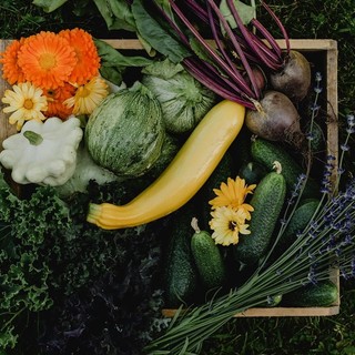 “Un orto a colori, coltiviamo bellezza”: un seminario in due serate a Mondovì