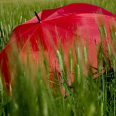 In Piemonte l'estate meteorologica inizia con l'allerta gialla per temporali In Piemonte l'estate meteorologica inizia con l'allerta gialla per temporali