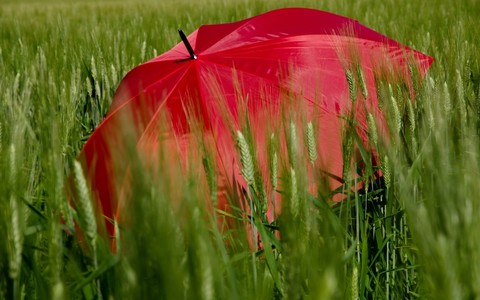 In Piemonte l'estate meteorologica inizia con l'allerta gialla per temporali