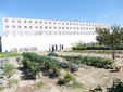 L'orto del carcere Morandi