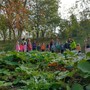 Biodiversità, miele, educazione ambientale: il Parco fluviale Gesso e Stura partecipa a Terra Madre Salone del Gusto 2026 Biodiversità, miele, educazione ambientale: il Parco fluviale Gesso e Stura partecipa a Terra Madre Salone del Gusto 2026