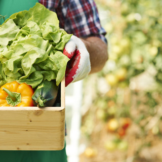 Bra, tutto pronto per l'evento "Orto al Mercato della Terra": appuntamento il 17 maggio