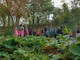 Biodiversità, miele, educazione ambientale: il Parco fluviale Gesso e Stura partecipa a Terra Madre Salone del Gusto 2026 Biodiversità, miele, educazione ambientale: il Parco fluviale Gesso e Stura partecipa a Terra Madre Salone del Gusto 2026