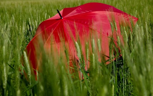 In Piemonte l'estate meteorologica inizia con l'allerta gialla per temporali