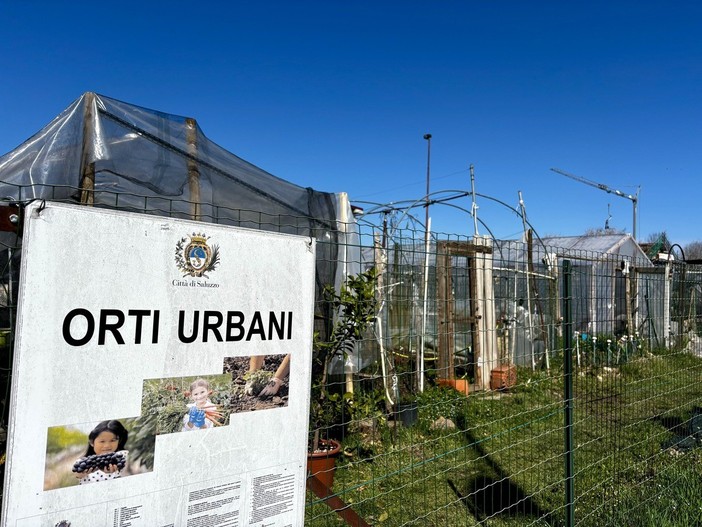 Saluzzo, gli orti urbani nell'area del Foro Boario