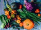 Piccoli frutti e cura dell'orto: due seminari formativi con il Comizio Agrario di Mondovì