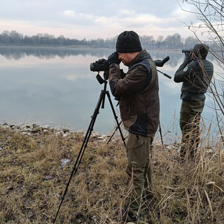 Ci sono 15 specie diverse di uccelli acquatici nel Parco del Monviso