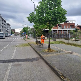 Mondovì, operazioni di sfalcio del verde al Ferrone e all'Altipiano