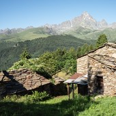 Ostana, sabato 29 agosto “Cammini di Benessere 2026”: trekking e forest therapy sotto il Monviso Ostana, sabato 29 agosto “Cammini di Benessere 2026”: trekking e forest therapy sotto il Monviso
