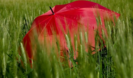 In Piemonte l'estate meteorologica inizia con l'allerta gialla per temporali In Piemonte l'estate meteorologica inizia con l'allerta gialla per temporali