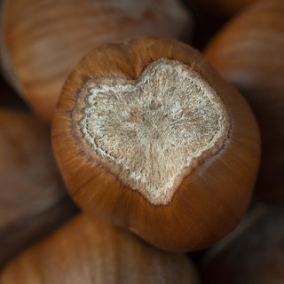 Alcuni scatti del fotografo Enzo Massa Alcuni scatti del fotografo Enzo Massa