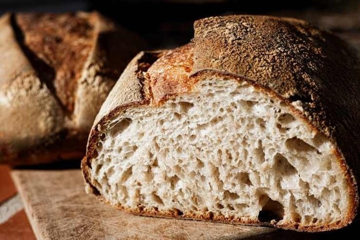 Festa del Pane di Savigliano: la filiera si incontra per parlare del futuro di uno dei cibi più identitari della nostra cultura Festa del Pane di Savigliano: la filiera si incontra per parlare del futuro di uno dei cibi più identitari della nostra cultura