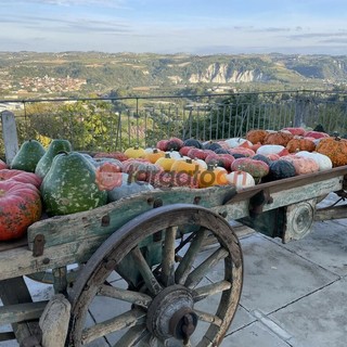 “Di Fiore in Zucca”: biodiversità, semi e incontri, la primavera torna a Piozzo