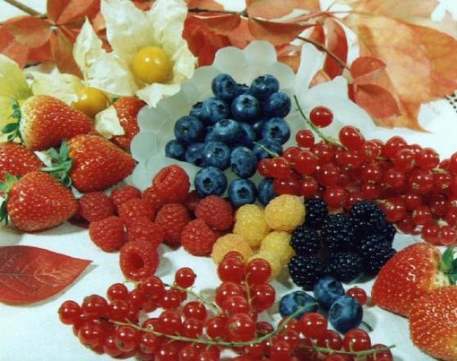 Consumo di frutta cresciuto del 20% negli ultimi 10 giorni: si consumano mele, piccoli frutti e albicocche