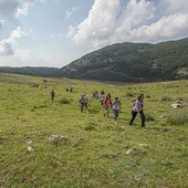 Passeggiata nel parco (foto dal portale istituzionale parconazionalepollino.it) Passeggiata nel parco (foto dal portale istituzionale parconazionalepollino.it)