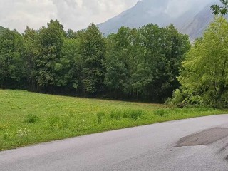 L'immagine mostra la strada bagnata dove non ci sono gli alberi a fare da riparo L'immagine mostra la strada bagnata dove non ci sono gli alberi a fare da riparo