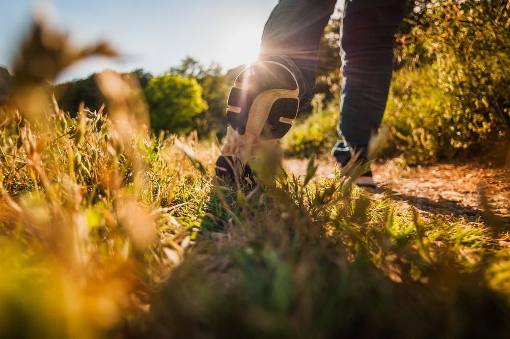 "Passi di Vita": a Cuneo un’esperienza tra natura e dono per scoprire il valore della donazione "Passi di Vita": a Cuneo un’esperienza tra natura e dono per scoprire il valore della donazione