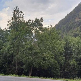 Meteo, l'autunno in Piemonte tra caldo oltre la norma e forti piogge: le previsioni di Arpa