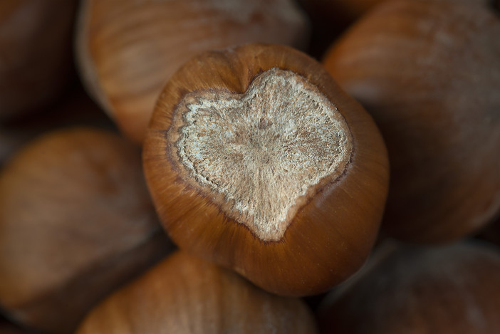 Alcuni scatti del fotografo Enzo Massa Alcuni scatti del fotografo Enzo Massa
