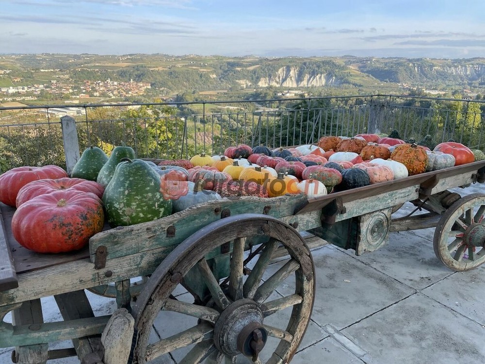 I frutti dell'autunno protagonisti di eventi e sagre in tutta la Granda