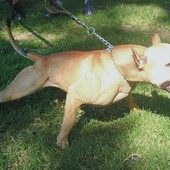 Immagine di repertorio Immagine di repertorio