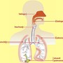 Embolia polmonare, al Santa Croce e Carle di Cuneo un congresso su diagnosi e terapie avanzate Embolia polmonare, al Santa Croce e Carle di Cuneo un congresso su diagnosi e terapie avanzate