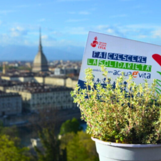 "Fai crescere la solidarietà": a Cuneo e Torino l’associazione LVIA torna nelle piazze con le piantine aromatiche solidali per il Diritto all’acqua in Africa