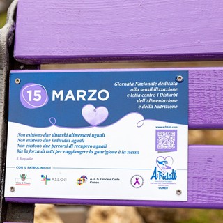 Immagina della panchina lilla di Cuneo