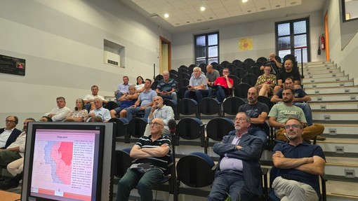Peste Suina Africana, confronto tra istituzioni e territorio nelle Valli Mongia e Cevetta Peste Suina Africana, confronto tra istituzioni e territorio nelle Valli Mongia e Cevetta