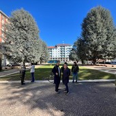 Con i cedri e senza riqualificazione: piazza Europa resta così Con i cedri e senza riqualificazione: piazza Europa resta così