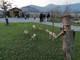 La festa si tiene al Parco dell'Ingenio