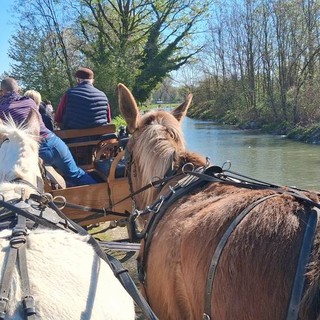 Bra è tappa del Paradriving Piemonte 2026, per superare la disabilità a cavallo