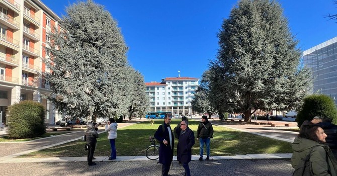 Con i cedri e senza riqualificazione: piazza Europa resta così