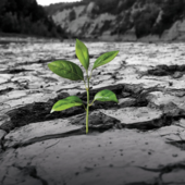 Ad Alba il docufilm: “La terra che Cambia The changing Land”