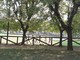 Boves: al Parco Marquet torna il Memorial Igor Faccia Boves: al Parco Marquet torna il Memorial Igor Faccia