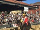 Alba, Palio degli Asini: un evento per tutti, parole d'ordine accessibilità e inclusione Alba, Palio degli Asini: un evento per tutti, parole d'ordine accessibilità e inclusione