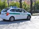Parcheggia l'auto a Mondovì Piazza e la ritrova incidentata: la polizia locale individua il colpevole