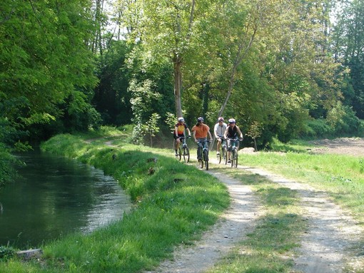 Parco Fluviale Gesso e Stura: via libera al progetto per la messa in sicurezza del percorso ciclo-naturalistico tra Madonna della Riva e Ronchi Parco Fluviale Gesso e Stura: via libera al progetto per la messa in sicurezza del percorso ciclo-naturalistico tra Madonna della Riva e Ronchi