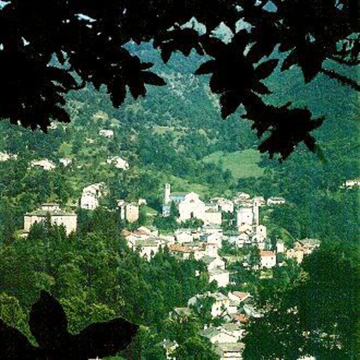 Pamparato