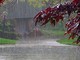 METEO / Prima vera allerta autunnale: domani in arrivo forte maltempo