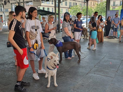 Passerella di cani, nella prima edizione di Nen Mac Tabui a Saluzzo