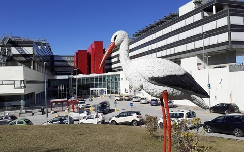 La cicogna di fronte al Punto nascite dell'ospedale Michele e Pietro Ferrero di Verduno
