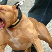 Immagine di repertorio