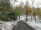 Neve a Cervasca: l'amministrazione ringrazia tutti per il lavoro svolto