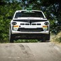 RALLY / "Grappolo" amaro per Patetta e Alocco, costretti allo stop nell'ultima prova speciale